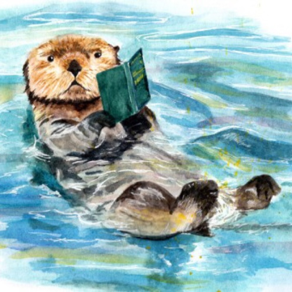 Meet your Posher, Shelley